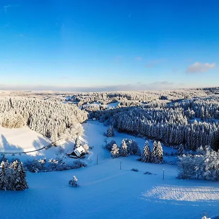 Saegerhaeusle Gruenwald Casa de Férias Lenzkirch