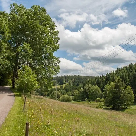 Saegerhaeusle Gruenwald Lenzkirch