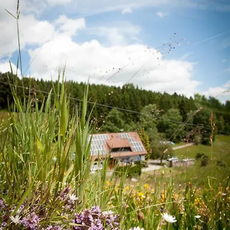 Saegerhaeusle Gruenwald Casa de Férias *